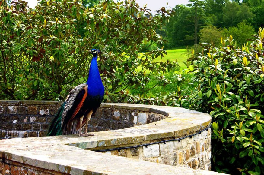 Castles in England - Leeds Castle as a day trip from London