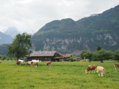 Cycling-in-the-Swiss-Alps-Interlaken