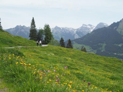 Swiss-Alps-Lauterbrunnen-Interlaken.