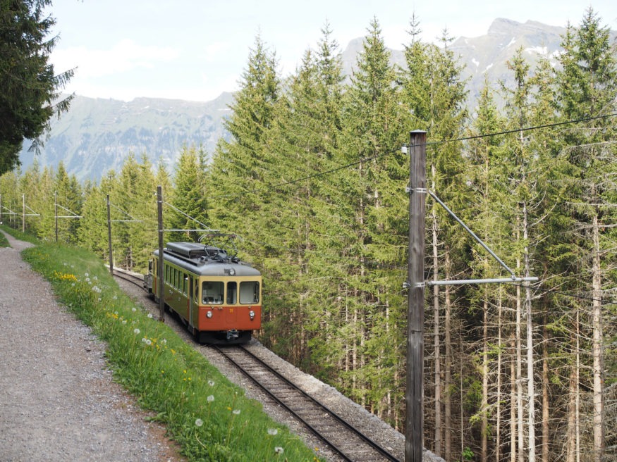 Trains-in-Lauterbrunnen-Swiss-Alps