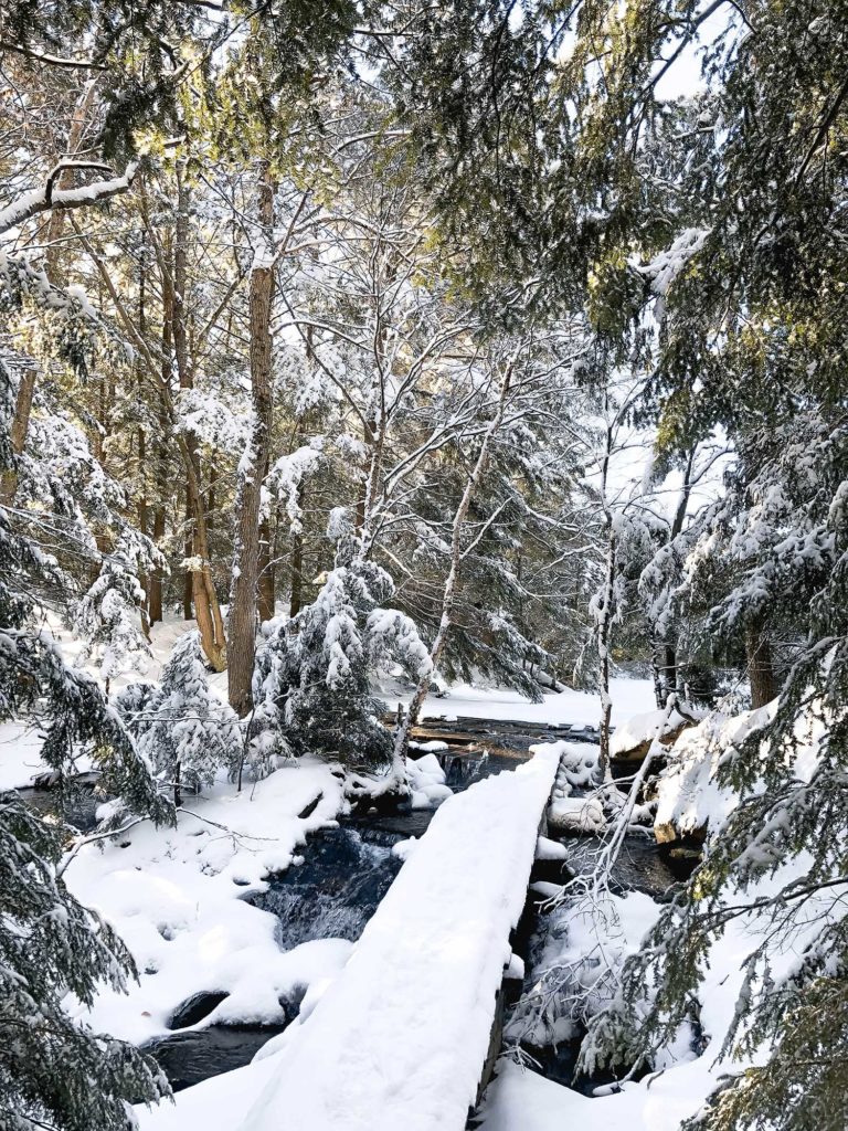 winter-sports-in-Quebec-City