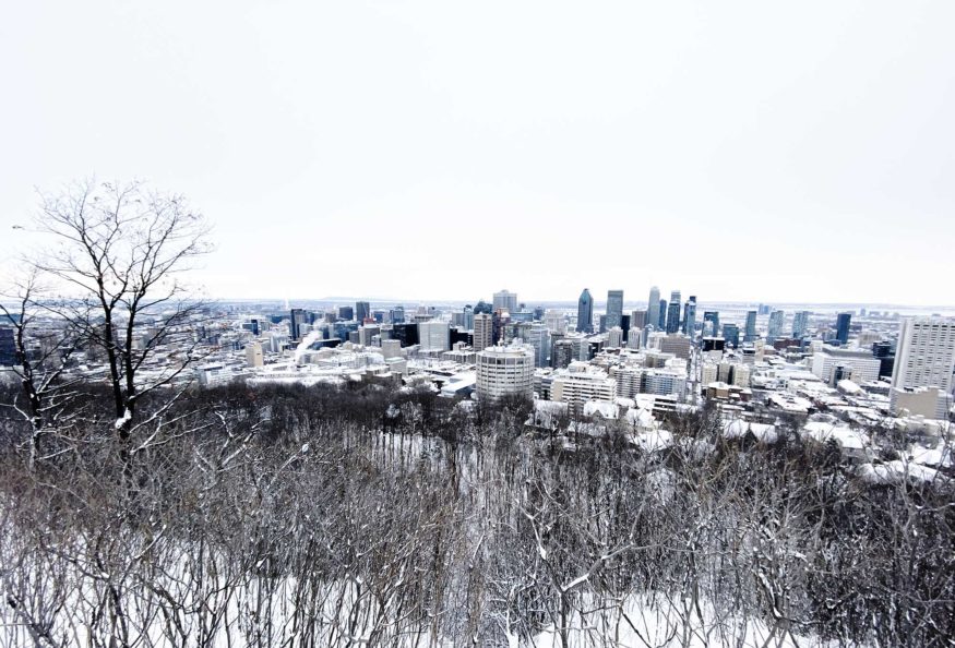 1-the-view-from-mont-royal