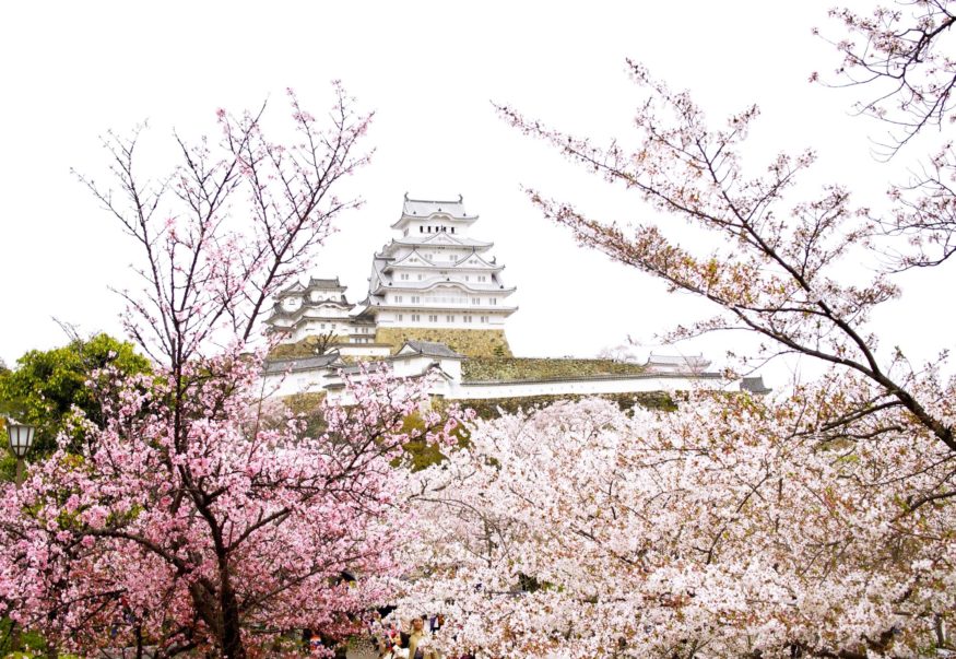 Castelul Himeji din Japonia - sakura în Japonia