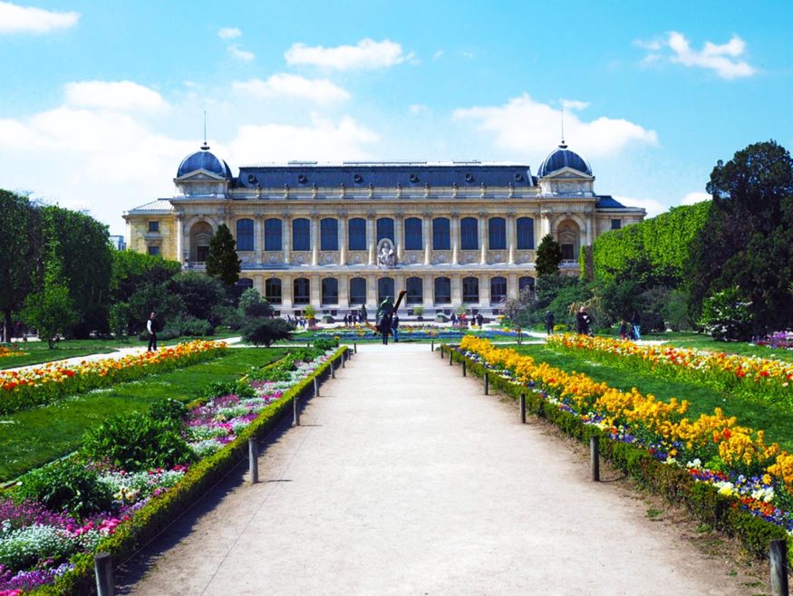 Jardin-des-Plantes-Free-Things-to-Do-in-Paris