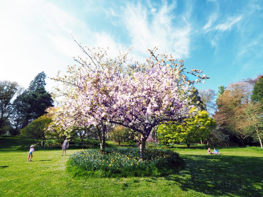 Battsford Arboretum - things to do in the Cotswolds