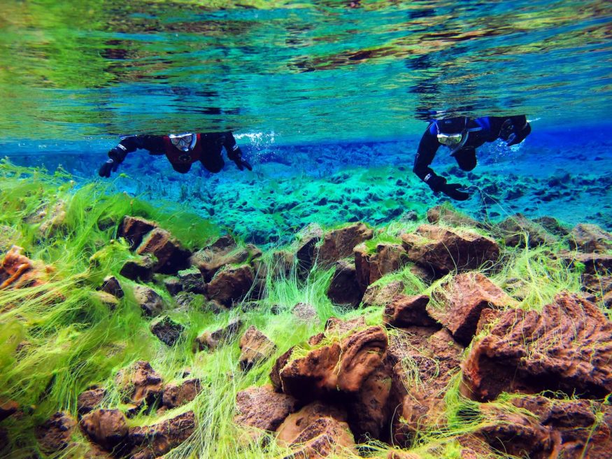 Snorkelling in Silfra