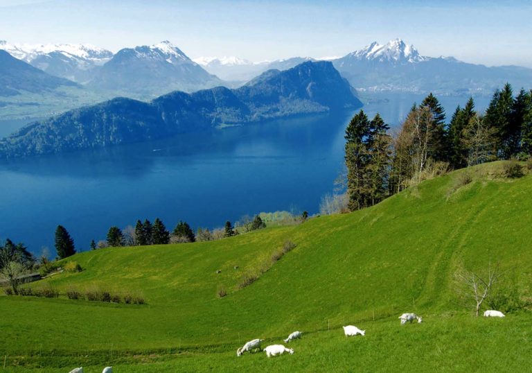Lucerne and Rigi: Switzerland in a nutshell