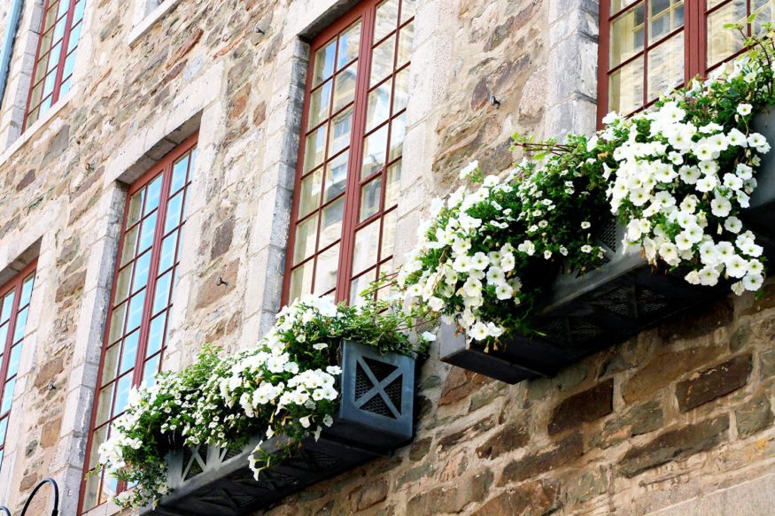 things to do in Old Quebec City