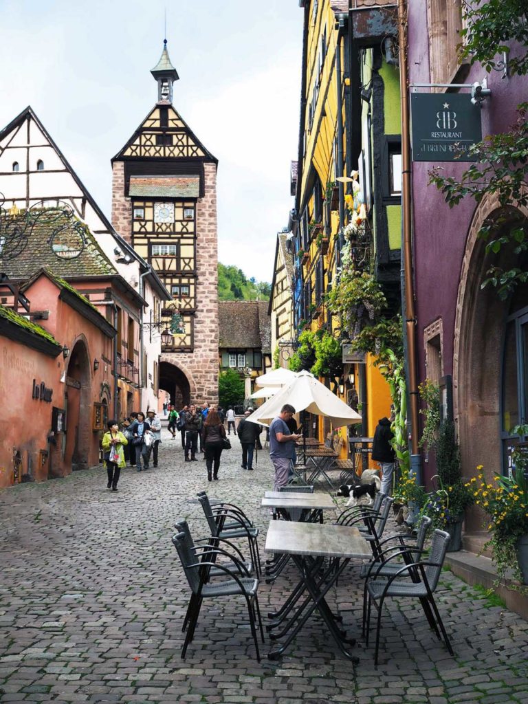 Rhine river cruise - Best things to do in Alsace-Riquewihr