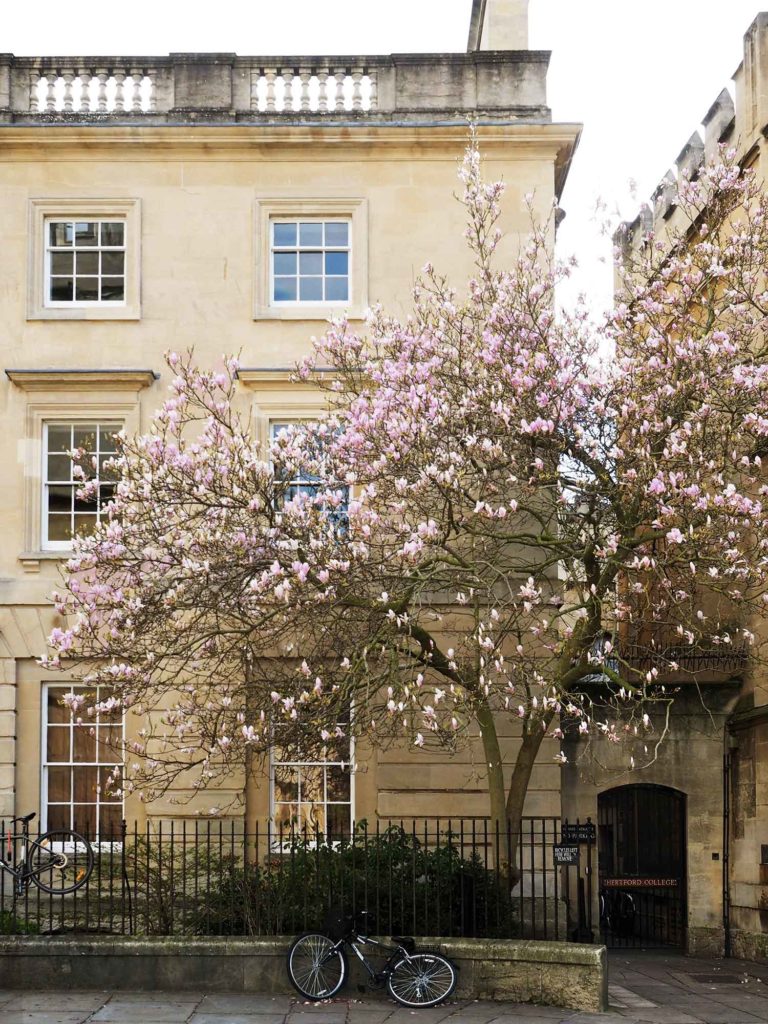 Oxford - day trips from London