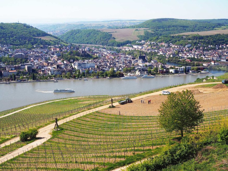 Rhine river cruise in Europe