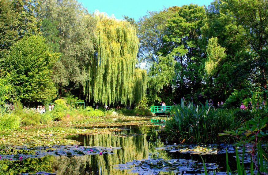 Water lillies Monet Gardens in Giverny