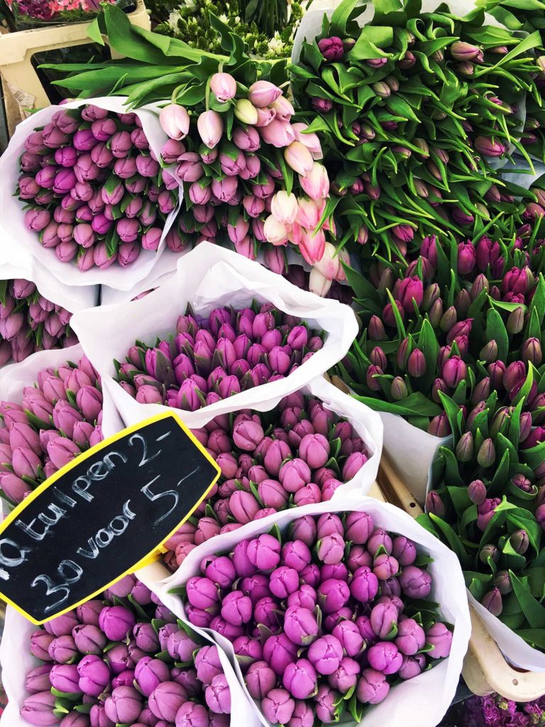 Where to buy tulips in Amsterdam