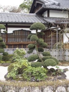 Beautiful temples in Tokyo, Japan