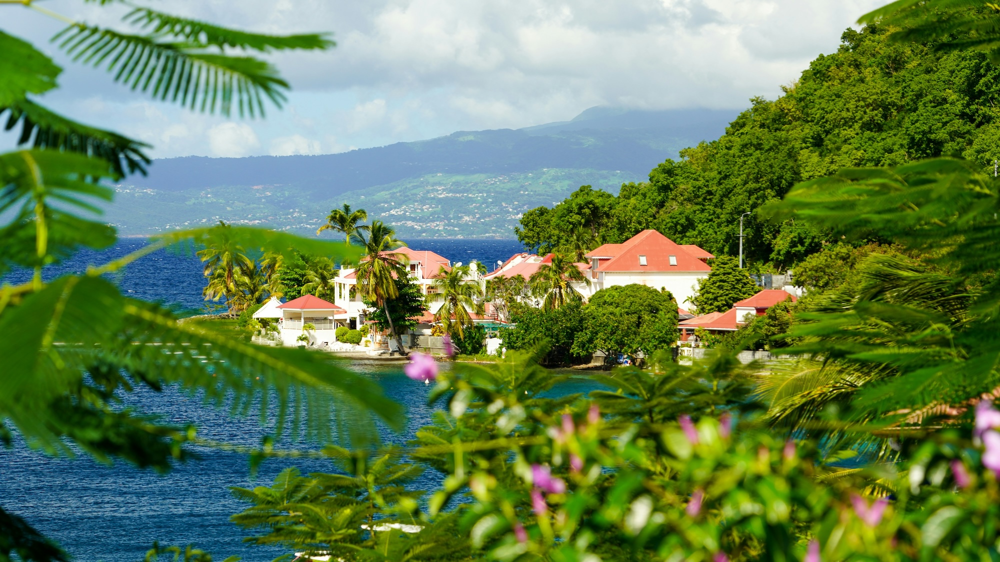 airbnbs in guadeloupe